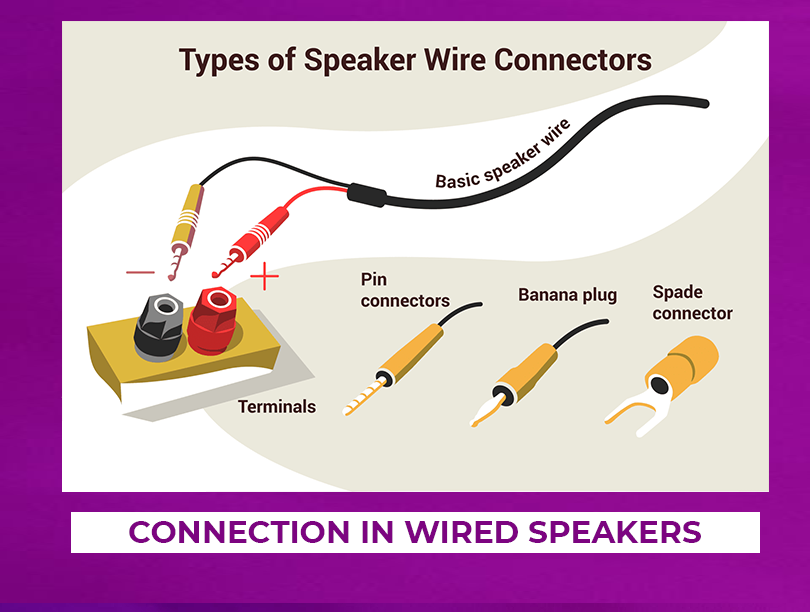 Connection In Wired Speakers